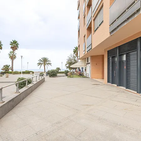 Dobo Pacifico 3*